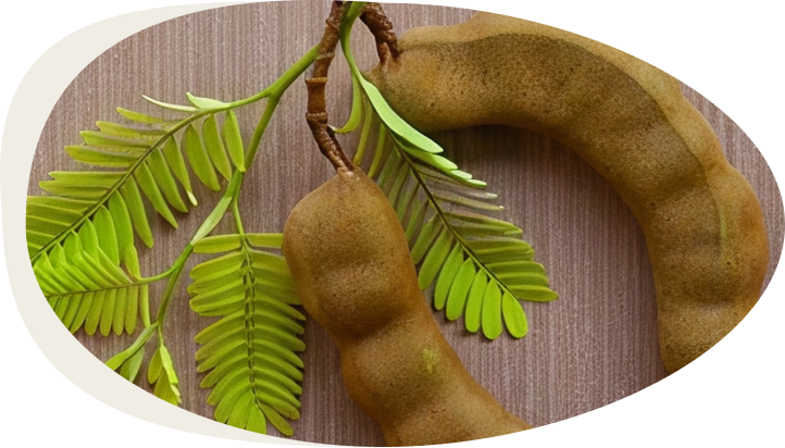 two green leaves on a branch