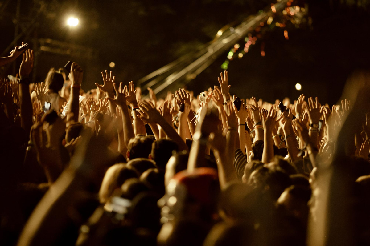 a crowd of people at a concert